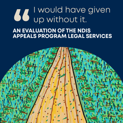 Thumbnail of NDIS Report