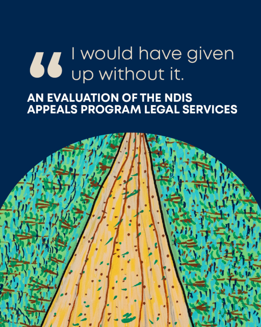 Thumbnail of NDIS Report