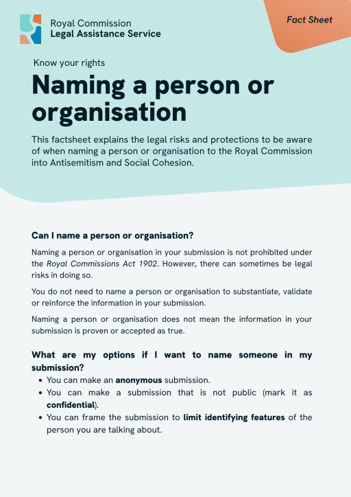 Thumbnail of Fact Sheet: Naming a person or organisation 